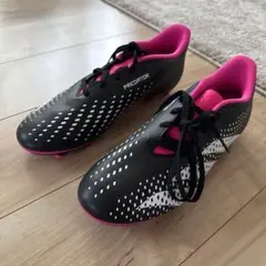 Item thumbnail for item 16beb8b1-5720-454e-8227-748cf9da598a