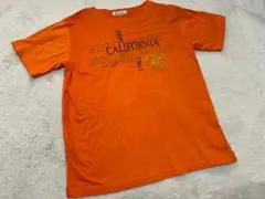 Item thumbnail for item 231ba65f-6144-4193-9cec-54902f5e44cf