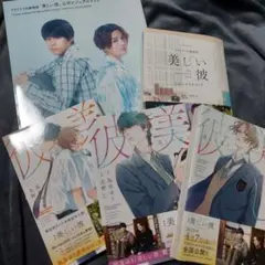 美しい彼 漫画 シナリオブック ビジュアルブック