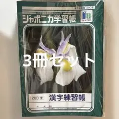 漢字練習帳　200字　3冊　ジャポニカ学習帳　ショウワのサムネイル