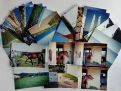 1994年北海道 風景と競走馬写真26枚セット