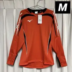 Item thumbnail for item 5282f086-023b-4196-8ab4-9c7af6cd2077