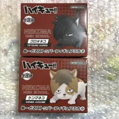 ハイキュー　ヌードルストッパー　クロオネコ　ケンマネコ