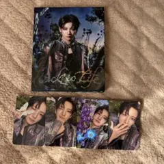 &TEAM Back to Life ROAR ver YUMA トレカ