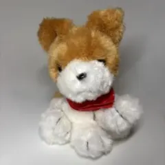 2026年最新】わんわんわんこ サンエックスの人気アイテム - メルカリ