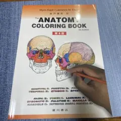 Item thumbnail for item ffdb4040-e214-459a-954d-070e66c500a4