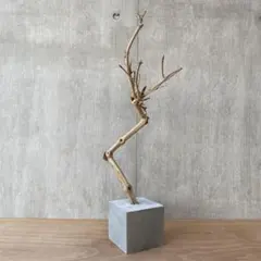 Item thumbnail for item 8563e689-a4a9-4587-80cf-dec9ad0f0640