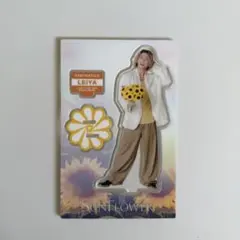 瀬口黎弥 アクスタ SUNFLOWER FANTASTICS