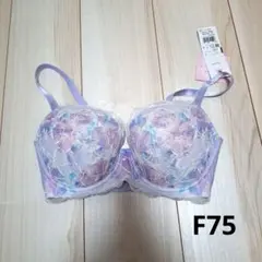 ワコール 女神のヒミツ F75のサムネイル