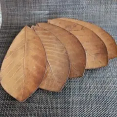 Item thumbnail for item 0901590c-3695-4eb1-80a8-36be5eb672e7