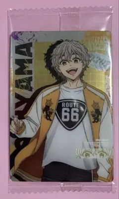 WIND BREAKER ウエハース2 兎耳山丁子