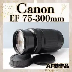 ☆デジタル一眼レフカメラ☆Canon EF75-300㎜☆ - メルカリ