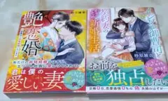 砂原 雑音の艶恋婚契約妻のかりそめ 新婚生活 の2冊セット