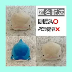 八景島シーパラダイス オンラインイルカくじ 3等 ぬいぐるみ 全2種