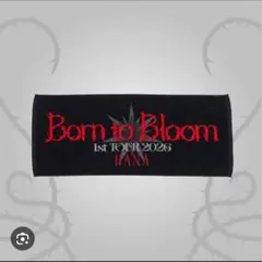 Item thumbnail for item cd0ef018-0fd1-4b4f-bedc-d9f237197524