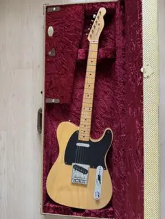 2025年最新】テレキャスター ハード ケースの人気アイテム