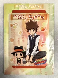 【家庭教師ヒットマンREBORN！】リボーン メタルプロマイド　リボーン ツナ
