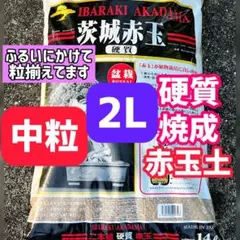 硬質赤玉土 2L 焼成硬質 多肉植物 サボテン 塊根植物　観葉植物　中粒のサムネイル