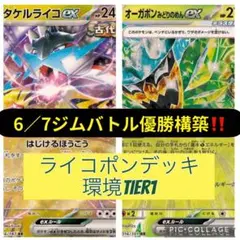 【6/7ジムバトル優勝構築⚡️】タケルライコ ライコポン構築済みデッキ 安心梱包