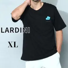 ✨大きいサイズ✨ラルディーニ　ブートニエール　ロゴ刺繍　Tシャツ　イタリア製のサムネイル