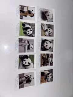 Item thumbnail for item 30168709-6b50-4ad3-b09b-d336ba36eabb