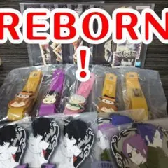 家庭教師ヒットマンREBORN! 一番くじV ポストカード プリーモ&ツナ
