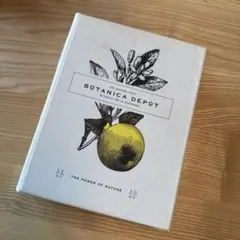 アンティーク調 アクセサリーケース ヴィンテージ 洋書 ブック型 小物入れ