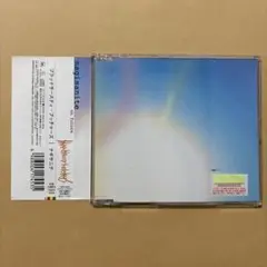 見本盤bloodthirsty butchersナギサニテ CD