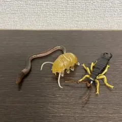 裏庭の生き物　3種セット