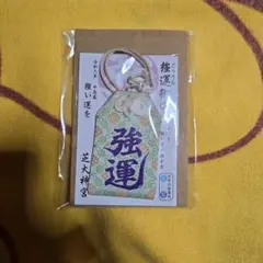 Item thumbnail for item 4c735809-f1cf-49fd-87d0-5121219963ff