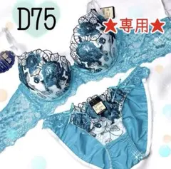 ★専用★D75 フォロリピ200円