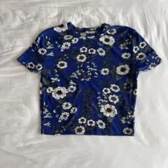 早い者勝ち！ZARA TRAFALUC 花柄リブTシャツ Sサイズ