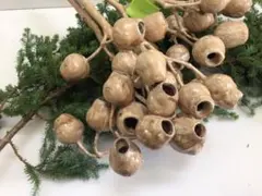 2026年最新】ベルガムナッツの人気アイテム - メルカリ