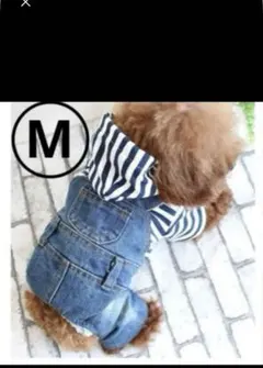犬服 Mサイズ ストライプデニムオーバーオール