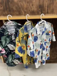 Item thumbnail for item e14bda92-2f18-4d3b-8710-38cfdb694a9b