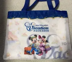 ディズニー　マルチガーゼケット