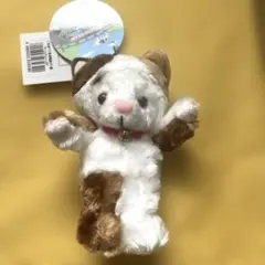 ご当地ベア 長崎曲がり猫 ボールチェーン ぬいぐるみ マスコット