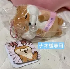 2026年最新】可愛い嘘のカワウソ ぬいぐるみの人気アイテム - メルカリ