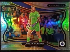 Jordan Pickford Silver Everton