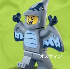 motohiro様 リクエスト 2点 まとめ商品