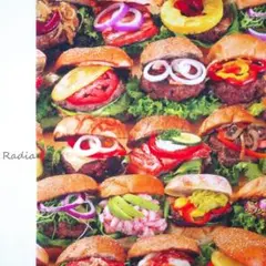 SALE357.ハンバーガー USAコットン シーチング はぎれ布生地