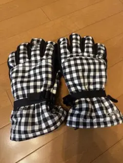 スキーグローブ