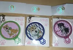 Item thumbnail for item 5ab7b483-848e-4f7b-9807-d54284226c53