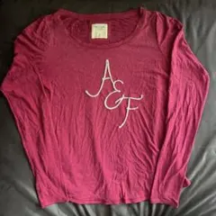 Abercrombie & Fitch A &F ロゴ長袖カットソー Mサイズ