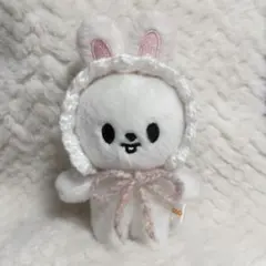 2025年最新】skzoo ぬいぐるみ 服の人気アイテム - メルカリ