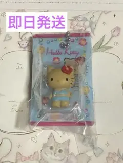 HELLO KITTY パッケージミニチュアコレクション①