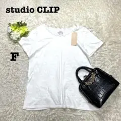 スタジオクリップ　スカラップネックTシャツ　半袖　ホワイト　無地　シンプル