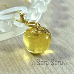 Bambi【プロフ・商品説明必読】様 リクエスト 2点 まとめ商品