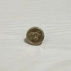 일 비존테 핀 배지