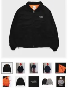 Item thumbnail for item 39e2b7de-a2e9-4f56-900e-761ed40f0fbc